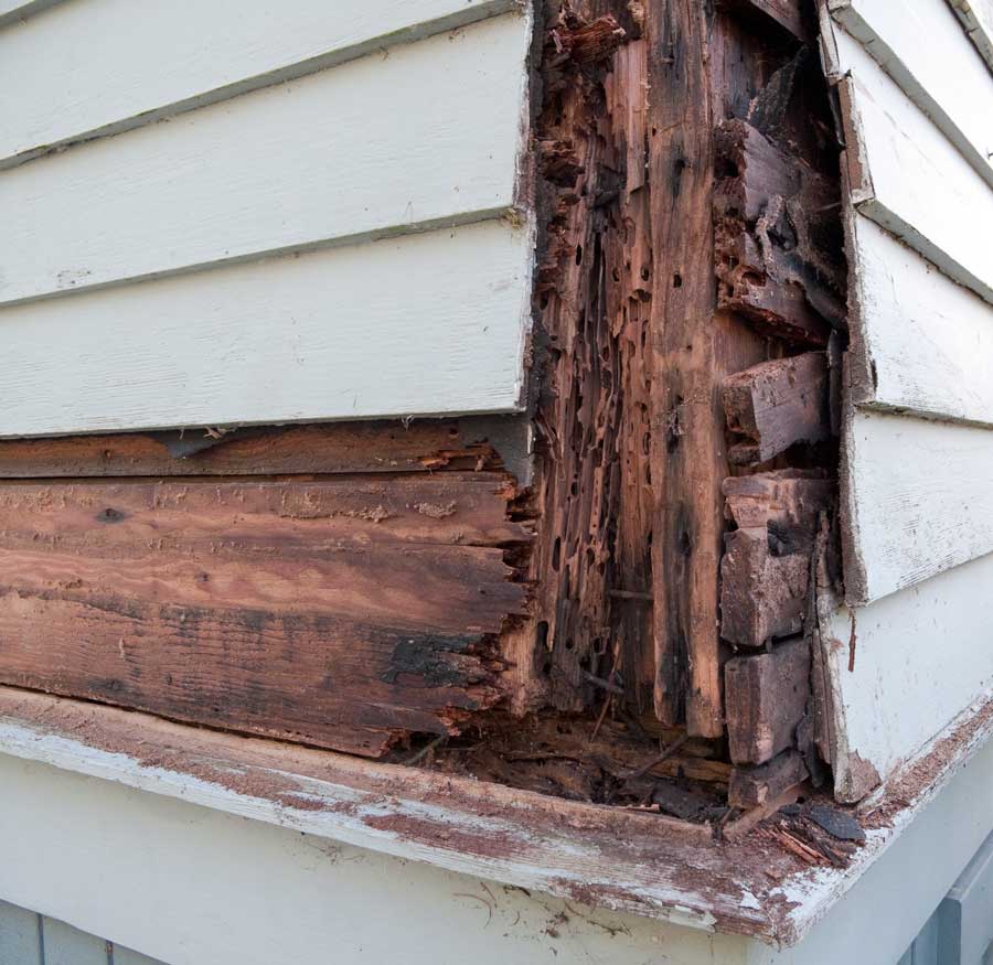 Dry Rot Damage on Side of Home